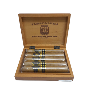 DJU Robusto